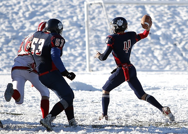 明智的决定 明智的决定