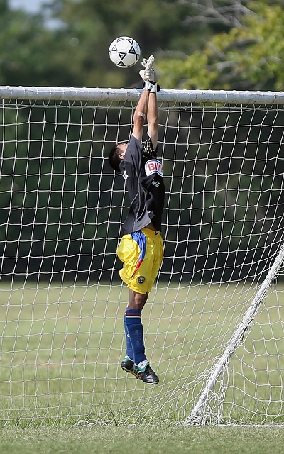 的发展被视 的发展被视