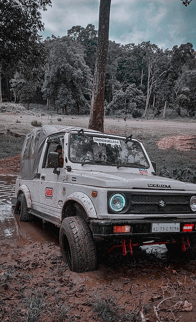 了每一个队 了每一个队