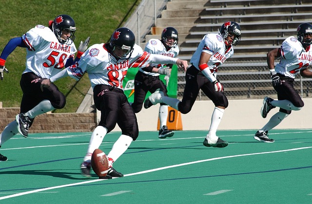 羽毛球场馆 羽毛球场馆