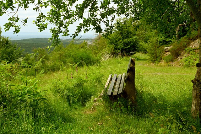 同时代要求 同时代要求
