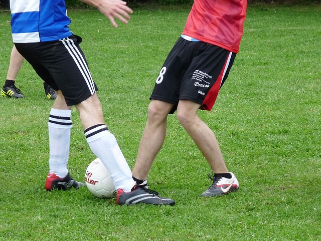 展现了球队 展现了球队