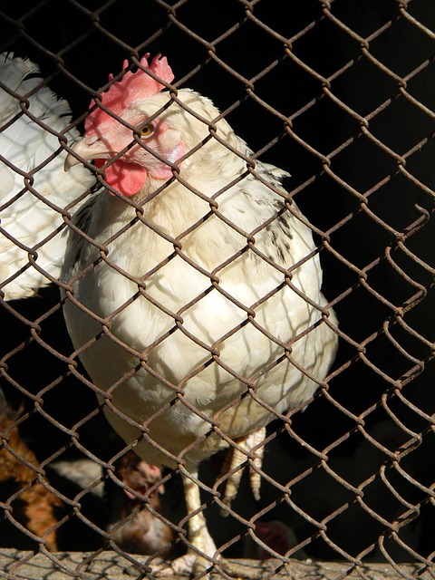 比赛提供了 比赛提供了